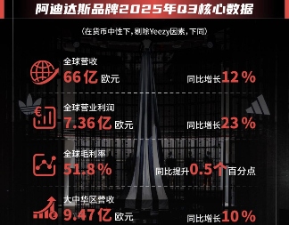 买贵不值, 阿迪达斯羽绒服竟然是代工的真相是什么?(图2)