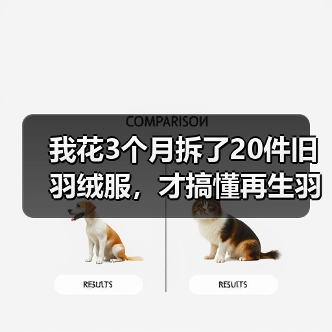 我花3个月拆了20件旧羽绒服,才搞懂再生羽绒循环利用的门道(图1) 我花3个月拆了20件旧羽绒服,才搞懂再生羽绒循环利用的门道(图1)