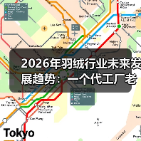 2026年羽绒行业未来发展趋势:一个代工厂老板的3次翻车教训(图3) 2026年羽绒行业未来发展趋势:一个代工厂老板的3次翻车教训(图3)