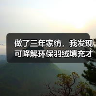 做了三年家纺,我发现可降解环保羽绒填充才是未来(图3) 做了三年家纺,我发现可降解环保羽绒填充才是未来(图3)