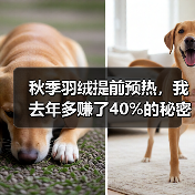 秋季羽绒提前预热,我去年多赚了40%的秘密(图4) 秋季羽绒提前预热,我去年多赚了40%的秘密(图4)