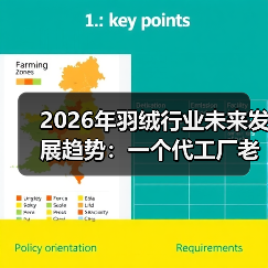 2026年羽绒行业未来发展趋势:一个代工厂老板的3次翻车教训(图1) 2026年羽绒行业未来发展趋势:一个代工厂老板的3次翻车教训(图1)