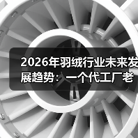 2026年羽绒行业未来发展趋势:一个代工厂老板的3次翻车教训(图2) 2026年羽绒行业未来发展趋势:一个代工厂老板的3次翻车教训(图2)