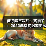 被冻醒三次后,我悟了:2026年早晚温差羽绒穿搭自救指南(图2) 被冻醒三次后,我悟了:2026年早晚温差羽绒穿搭自救指南(图2)