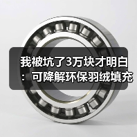 我被坑了3万块才明白：可降解环保羽绒填充到底怎么选（图1）