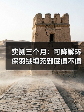 实测三个月:可降解环保羽绒填充到底值不值得换?(图3) 实测三个月:可降解环保羽绒填充到底值不值得换?(图3)