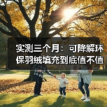 实测三个月:可降解环保羽绒填充到底值不值得换?(图1) 实测三个月:可降解环保羽绒填充到底值不值得换?(图1)