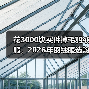 花3000块买件掉毛羽绒服,2026年羽绒服选购避坑指南(图3) 花3000块买件掉毛羽绒服,2026年羽绒服选购避坑指南(图3)