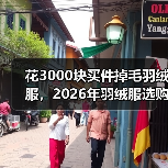 花3000块买件掉毛羽绒服,2026年羽绒服选购避坑指南(图4) 花3000块买件掉毛羽绒服,2026年羽绒服选购避坑指南(图4)