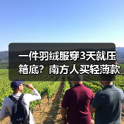 一件羽绒服穿3天就压箱底？南方人买轻薄款之前先看这篇（图2）