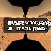 羽绒被花3000块买的教训:羽绒真伪快速鉴别方法(图2) 羽绒被花3000块买的教训:羽绒真伪快速鉴别方法(图2)