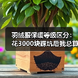 羽绒服保暖等级区分：花3000块踩坑后我总算搞懂了（图1）