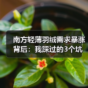 南方轻薄羽绒需求暴涨背后:我踩过的3个坑和1个真相(图3) 南方轻薄羽绒需求暴涨背后:我踩过的3个坑和1个真相(图3)