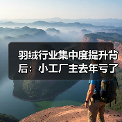 羽绒行业集中度提升背后:小工厂主去年亏了80万(图3) 羽绒行业集中度提升背后:小工厂主去年亏了80万(图3)