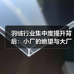 羽绒行业集中度提升背后：小厂的绝望与大厂的底牌（图4）