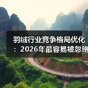 羽绒行业竞争格局优化：2026年最容易被忽略的3个利润杠杆（图2）