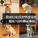 羽绒行业投资热度背后：我花1200块买来的三个教训（图1）