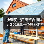 小型羽绒厂商整合淘汰:2026年一个行业老兵的踩坑实录(图2) 小型羽绒厂商整合淘汰:2026年一个行业老兵的踩坑实录(图2)