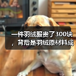 一件羽绒服贵了300块,背后是羽绒原材料成本上涨的连锁反应(图3) 一件羽绒服贵了300块,背后是羽绒原材料成本上涨的连锁反应(图3)