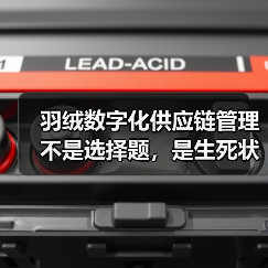羽绒数字化供应链管理不是选择题，是生死状（图4）