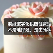 羽绒数字化供应链管理不是选择题，是生死状（图3）
