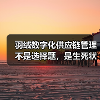 羽绒数字化供应链管理不是选择题，是生死状（图1）
