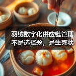 羽绒数字化供应链管理不是选择题,是生死状(图1) 羽绒数字化供应链管理不是选择题,是生死状(图1)