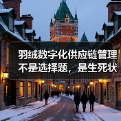羽绒数字化供应链管理不是选择题,是生死状(图3) 羽绒数字化供应链管理不是选择题,是生死状(图3)