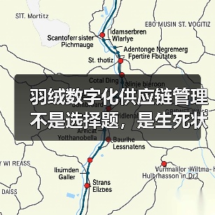 羽绒数字化供应链管理不是选择题,是生死状(图2) 羽绒数字化供应链管理不是选择题,是生死状(图2)