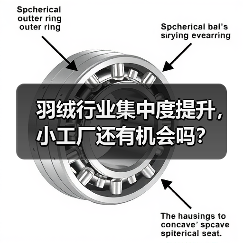 羽绒行业集中度提升，小工厂还有机会吗？（图4）