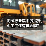 羽绒行业集中度提升，小工厂还有机会吗？（图2）