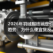 2026年羽绒服终端定价趋势:为什么便宜货反而卖不动了(图2) 2026年羽绒服终端定价趋势:为什么便宜货反而卖不动了(图2)