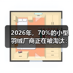 2026年,70%的小型羽绒厂商正在被淘汰:一场没人说的整合(图3) 2026年,70%的小型羽绒厂商正在被淘汰:一场没人说的整合(图3)