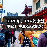 2026年,70%的小型羽绒厂商正在被淘汰:一场没人说的整合(图4) 2026年,70%的小型羽绒厂商正在被淘汰:一场没人说的整合(图4)