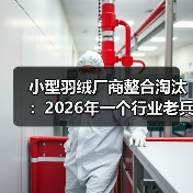 小型羽绒厂商整合淘汰:2026年一个行业老兵的踩坑实录(图3) 小型羽绒厂商整合淘汰:2026年一个行业老兵的踩坑实录(图3)