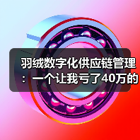 羽绒数字化供应链管理：一个让我亏了40万的教训（图1）