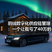 羽绒数字化供应链管理：一个让我亏了40万的教训（图4）