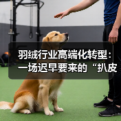 羽绒行业高端化转型：一场迟早要来的“扒皮”运动（图2）