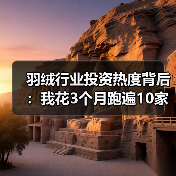羽绒行业投资热度背后：我花3个月跑遍10家工厂的5个发现