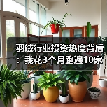 羽绒行业投资热度背后:我花3个月跑遍10家工厂的5个发现(图2) 羽绒行业投资热度背后:我花3个月跑遍10家工厂的5个发现(图2)