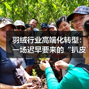 羽绒行业高端化转型：一场迟早要来的“扒皮”运动（图4）