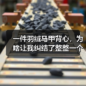 一件羽绒马甲背心,为啥让我纠结了整整一个冬天(图3) 一件羽绒马甲背心,为啥让我纠结了整整一个冬天(图3)