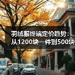 羽绒服终端定价趋势:从1200块一件到500块三件,到底发生了什么?(图4) 羽绒服终端定价趋势:从1200块一件到500块三件,到底发生了什么?(图4)