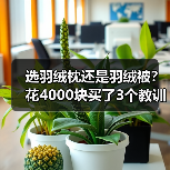 选羽绒枕还是羽绒被?花4000块买了3个教训(图4) 选羽绒枕还是羽绒被?花4000块买了3个教训(图4)