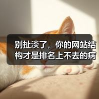 别扯淡了，你的网站结构才是排名上不去的病根