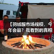 【羽绒服市场规模,今年会崩?我看到的真相反着来】(图4) 【羽绒服市场规模,今年会崩?我看到的真相反着来】(图4)
