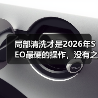 局部清洗才是2026年SEO最硬的操作，没有之一（图1）