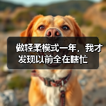 做轻柔模式一年,我才发现以前全在瞎忙(图3) 做轻柔模式一年,我才发现以前全在瞎忙(图3)