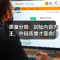 质量分级:别扯内容为王,外链质量才是命门(图2) 质量分级:别扯内容为王,外链质量才是命门(图2)