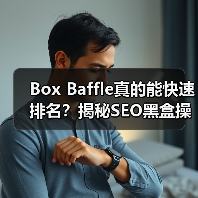 Box Baffle真的能快速排名?揭秘SEO黑盒操作内幕(图2) Box Baffle真的能快速排名?揭秘SEO黑盒操作内幕(图2)